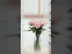 High Modern Hollow-out Laser Embroidery Living Room Curtains Customizable Blackout Window Hotels Hos