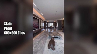 Modern 600x600mm Ceramic Tile with High Stain Resistance and Less than 0.5% Water Absorption